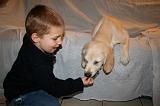 ENFANT ET CHIEN 480